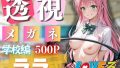 D 635447pl