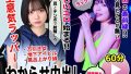D 731523pl