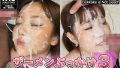 D 731838pl