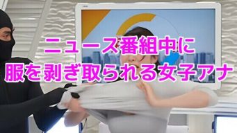 D 737311pl
