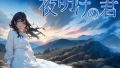 D 739339pl