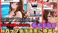 D 739738pl