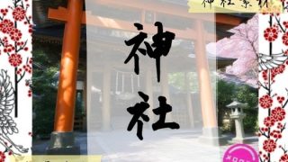 D 742263pl