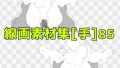 D 742437pl