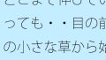 D 742688pl