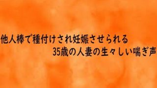 D 743058pl