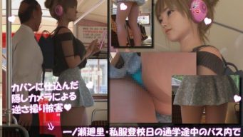 D 743224pl