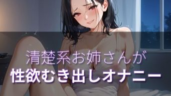 D 743538pl