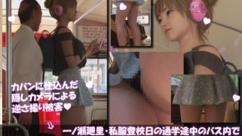 D 743585pl