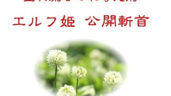 D 744959pl