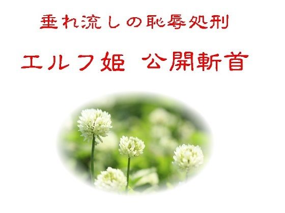 D 744959pl