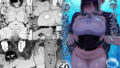 D 497987pl