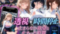 D 811295pl