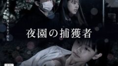 D 833273pl