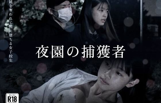 D 833273pl