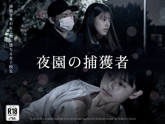 D 833273pl